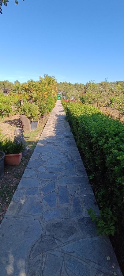 Orosei Re - Villa Aurora Rimedia A 50 Metri Dal Mare Exteriör bild